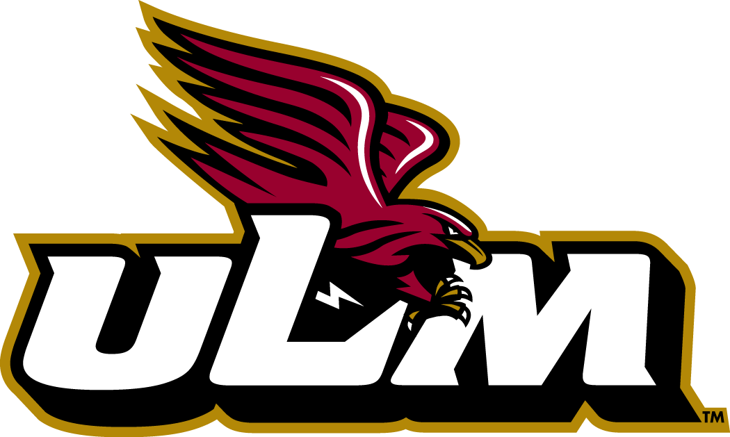 Louisiana-Monroe Warhawks 2006-Pres Alternate Logo v8 diy fabric transfer